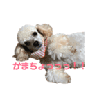 ちびたちなつぶやき（個別スタンプ：3）