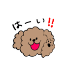 手書きトイプースタンプ（個別スタンプ：8）