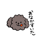 手書きトイプースタンプ（個別スタンプ：13）