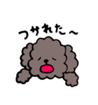 手書きトイプースタンプ（個別スタンプ：14）