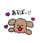 手書きトイプースタンプ（個別スタンプ：16）