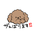 手書きトイプースタンプ（個別スタンプ：29）