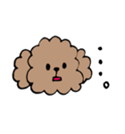 手書きトイプースタンプ（個別スタンプ：31）