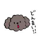 手書きトイプースタンプ（個別スタンプ：34）