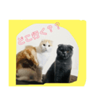 バルとベラ（個別スタンプ：11）