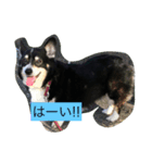 凛ちゃん可愛いね（個別スタンプ：1）