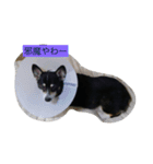 凛ちゃん可愛いね（個別スタンプ：2）