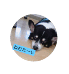 凛ちゃん可愛いね（個別スタンプ：4）