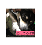 凛ちゃん可愛いね（個別スタンプ：5）