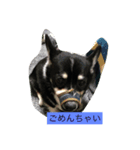 凛ちゃん可愛いね（個別スタンプ：6）