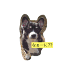 凛ちゃん可愛いね（個別スタンプ：7）