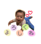 あおやんスタンプ（個別スタンプ：1）