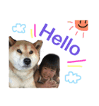 こもちゃんち3（個別スタンプ：12）