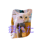 マッコリ（個別スタンプ：3）