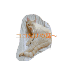 マッコリ（個別スタンプ：9）