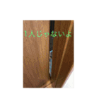 マッコリ（個別スタンプ：15）