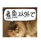 猫とお食事（個別スタンプ：9）