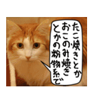 猫とお食事（個別スタンプ：18）