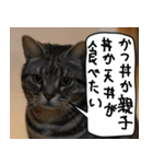 猫とお食事（個別スタンプ：22）