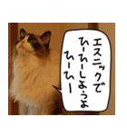 猫とお食事（個別スタンプ：27）