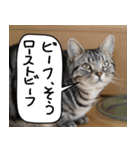 猫とお食事（個別スタンプ：28）