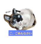 気まぐれ★チャコさま（個別スタンプ：2）