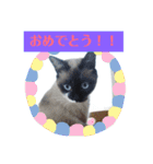 気まぐれ★チャコさま（個別スタンプ：16）