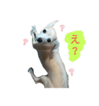 かわいいミックス犬スタンプ 「日常」（個別スタンプ：6）