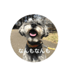 あんぢ ふたたび（個別スタンプ：1）