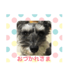 あんぢ ふたたび（個別スタンプ：2）