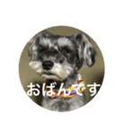 あんぢ ふたたび（個別スタンプ：4）