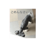 あんぢ ふたたび（個別スタンプ：5）