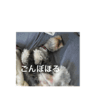 あんぢ ふたたび（個別スタンプ：10）