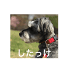 あんぢ ふたたび（個別スタンプ：11）