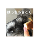 あんぢ ふたたび（個別スタンプ：12）