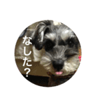 あんぢ ふたたび（個別スタンプ：13）