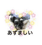 あんぢ ふたたび（個別スタンプ：14）