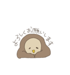 みみずくふくろう（個別スタンプ：25）