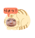 みなとんスタンプ711（個別スタンプ：1）