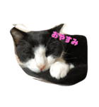 まるみるまん（個別スタンプ：2）