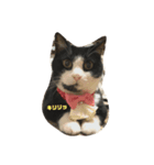 まるみるまん（個別スタンプ：8）