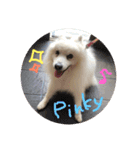pin-ji4（個別スタンプ：2）
