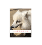 pin-ji4（個別スタンプ：6）