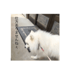 pin-ji4（個別スタンプ：7）