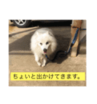 pin-ji4（個別スタンプ：8）