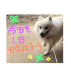 pin-ji4（個別スタンプ：15）