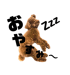 使える！日常会話！【トイプードル】（個別スタンプ：2）