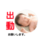 りんちゃんれいくんpt.2（個別スタンプ：1）