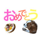 キャバリア〈そら☁️〉（個別スタンプ：18）