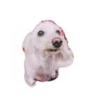 ちこ りず日常（個別スタンプ：6）